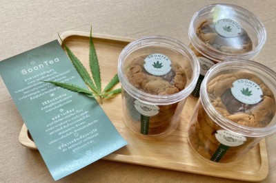 ททท.จัดงาน “มากินกัญ” ชูเทรนด์กัญชา-กัญชง หนุน Gastronomy Tourism