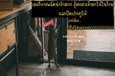 ปล่อยฉันออกไป! หนุ่มเคอรี่ใจดี อุ้มน้องแมวเข้าร้านให้ ที่ไหนได้น้องคือแมวข้างบ้าน