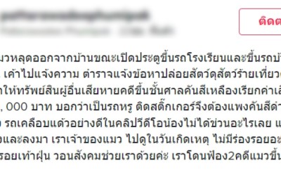 ทาสแมว มีหน้ามืด เจ้าเหมียวขึ้นหลังคารถเพื่อนบ้าน ถูกเรียกค่าเสียหายเป็นแสน