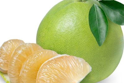 ส้มโอ สรรพคุณและประโยชน์