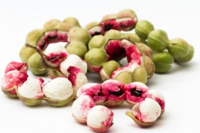 มะขามเทศ สรรพคุณและประโยชน์