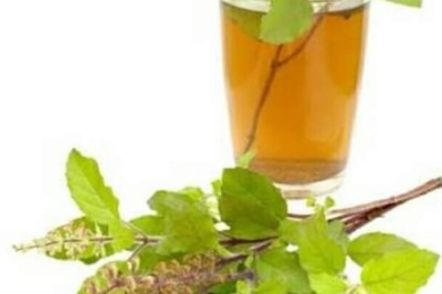 น้ำกะเพราแดง เครื่องดื่ม