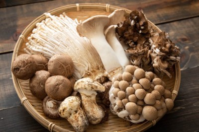 ประโยชน์โดนๆ ของเห็ด