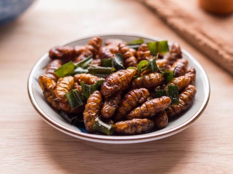 ดักแด้ทอดกรอบ อาหารภาคอีสาน