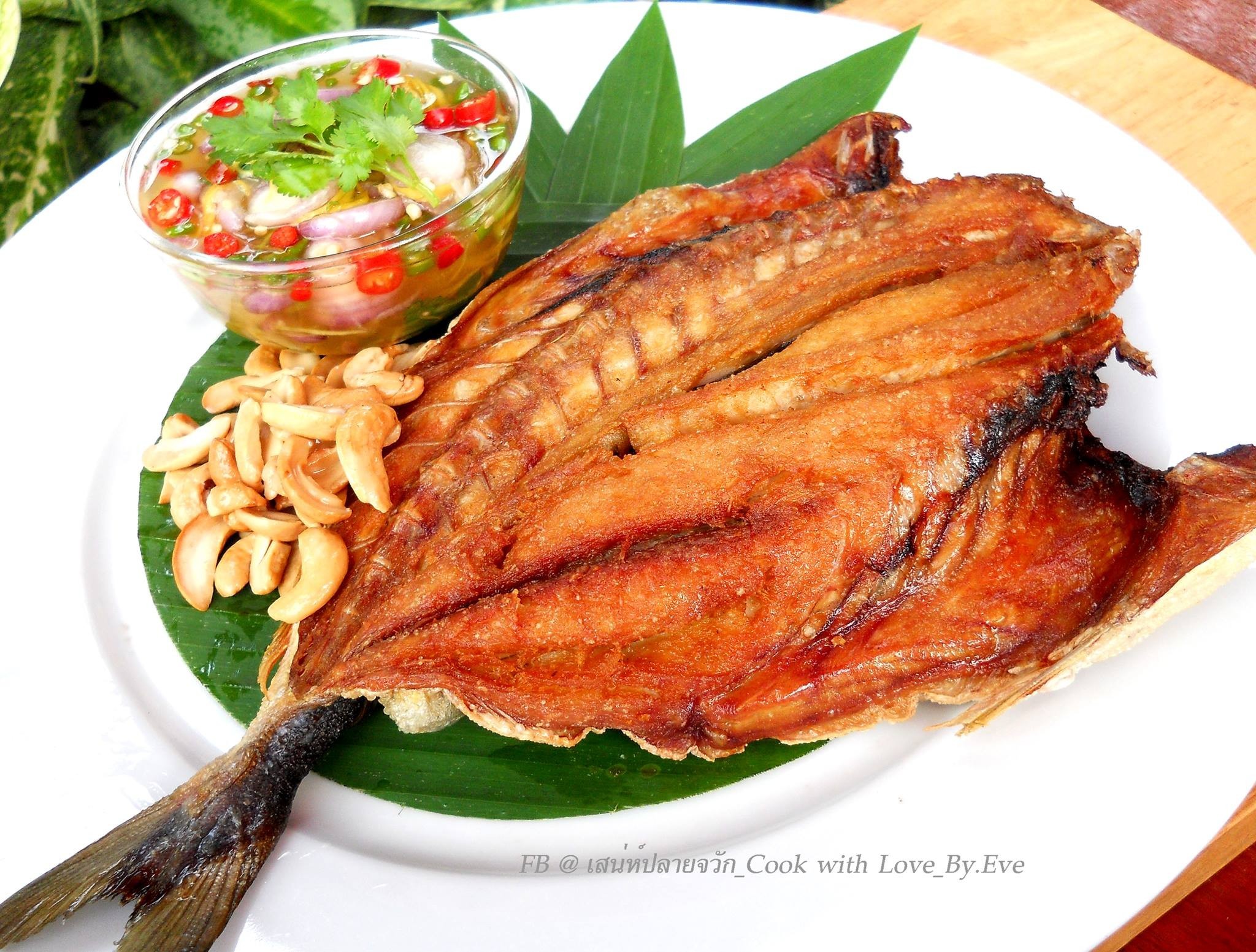ปลาสำลีแดดเดียว (สากล) อาหารภาคกลาง