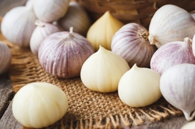 ทำไมคนไทยรักกระเทียมโทน