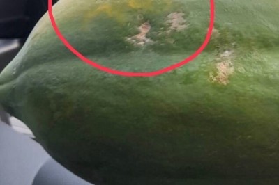 นาย ณภัทร ตอบสัมพันธ์ แพท ณปภา ยังรักกันดี? หลังฝ่ายหญิงบอก…ไม่มีแฟน