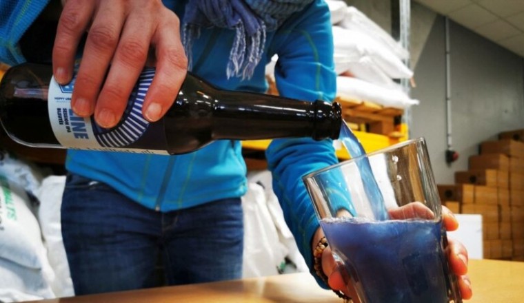 บริษัทเบียร์ฝรั่งเศสคิดใหม่ สกัดสีจากสาหร่ายทำ “เบียร์สีน้ำเงิน”