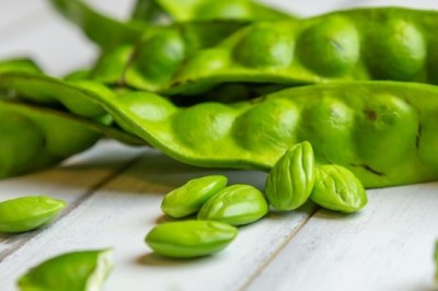 สะตอ สรรพคุณและประโยชน์