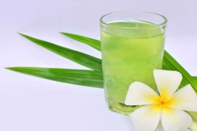 น้ำใบเตย เครื่องดื่ม