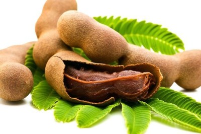 มะขาม สรรพคุณและประโยชน์