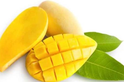 มะม่วง สรรพคุณและประโยชน์