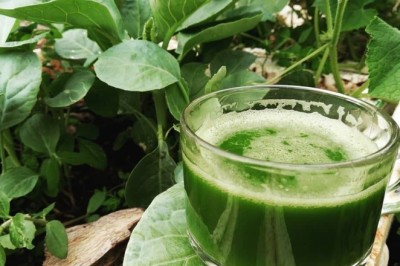 น้ำคะน้า เครื่องดื่ม