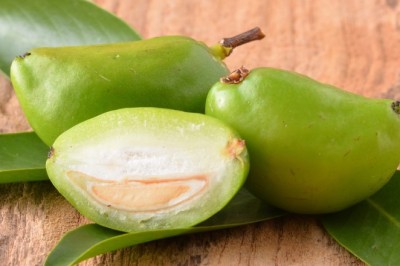 มะดัน  สรรพคุณและประโยชน์