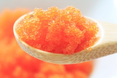 วิธีเก็บไข่กุ้ง