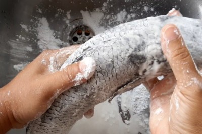 วิธีขจัดเมือกปลา