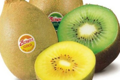 กีวีฟรุต สรรพคุณและประโยชน์