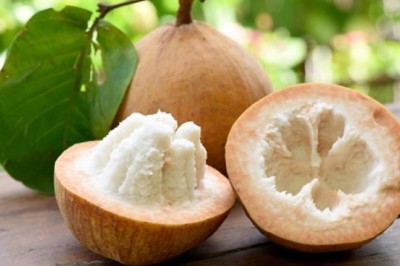 กระท้อน สรรพคุณและประโยชน์