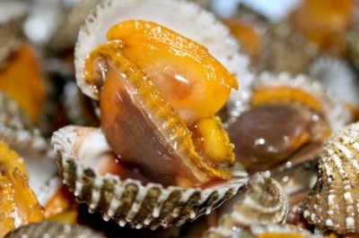 วิธีเลือกซื้อหอยสด