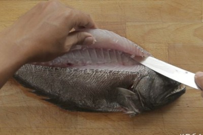 เคล็ดลับการแล่เนื้อปลา