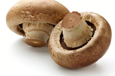 เห็ดหอมยาอายุวัฒนะของจีน