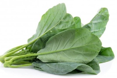 คะน้า ผักใบเขียวมากประโยชน์