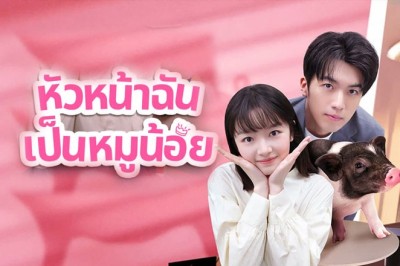 ซีรี่ย์จีน หัวหน้าฉันเป็นหมูน้อย My Piggy Boss ซับไทย EP.1-12 จบ
